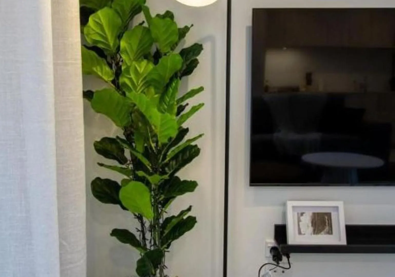 A Touch Of Luxury In Chch Cbd Apartment Christchurch